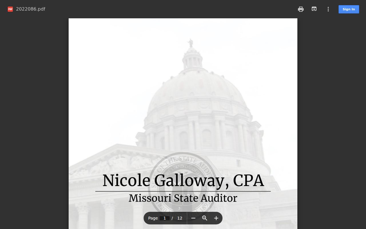 Grundy County court docket state audit report